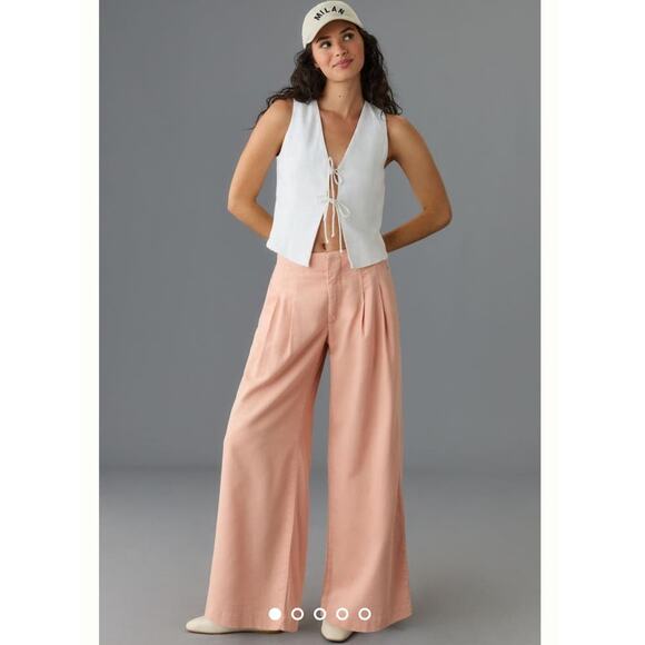 Maeve Pleated Wide Leg Pants Cotton/Tencel Neutral Pink W Sz 33 NWT - Picture 3 of 12